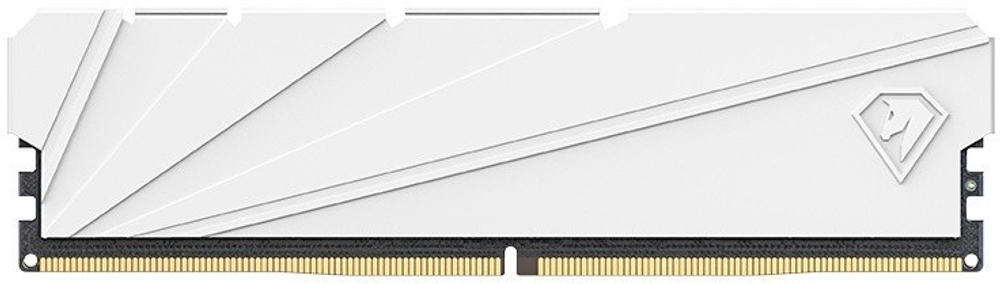 Модуль памяти DDR4 16GB Netac NTSSD4P32SP-16W