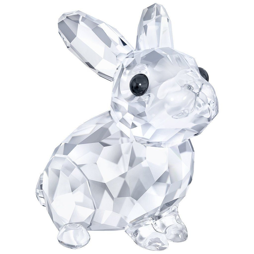 BABY RABBIT