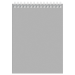 Блокнот BG "Для конференций" на спирали, А5, 60 листов в клетку, серый