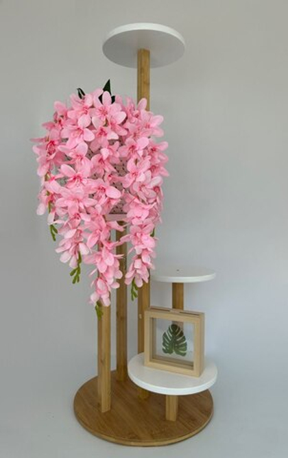 Вистерия (Глициния) / Арт 1111