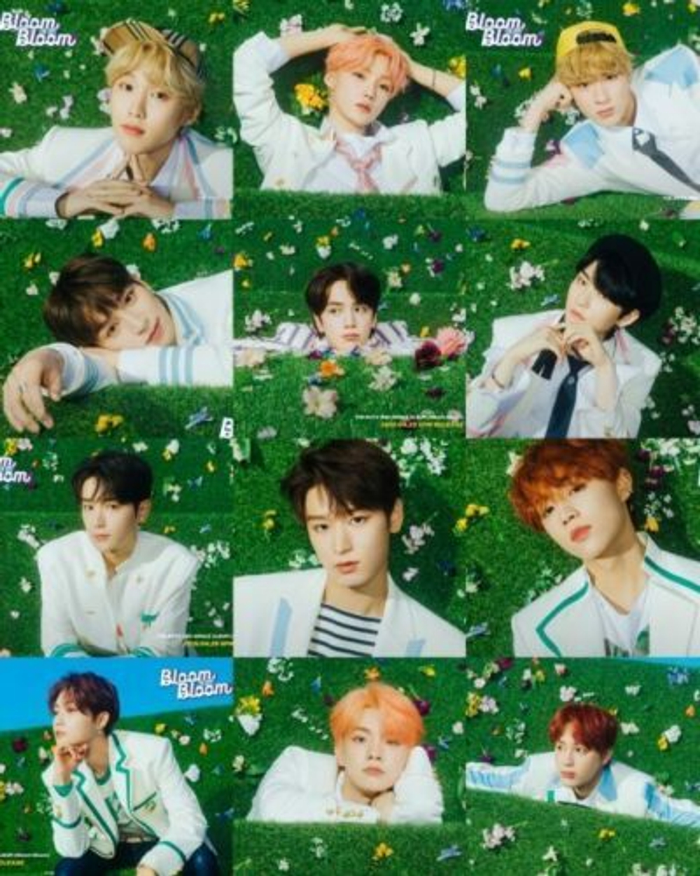 Альбом The Boyz - Bloom Bloom 2nd Single Album RANDOM Version