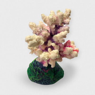 Коралл Ветка