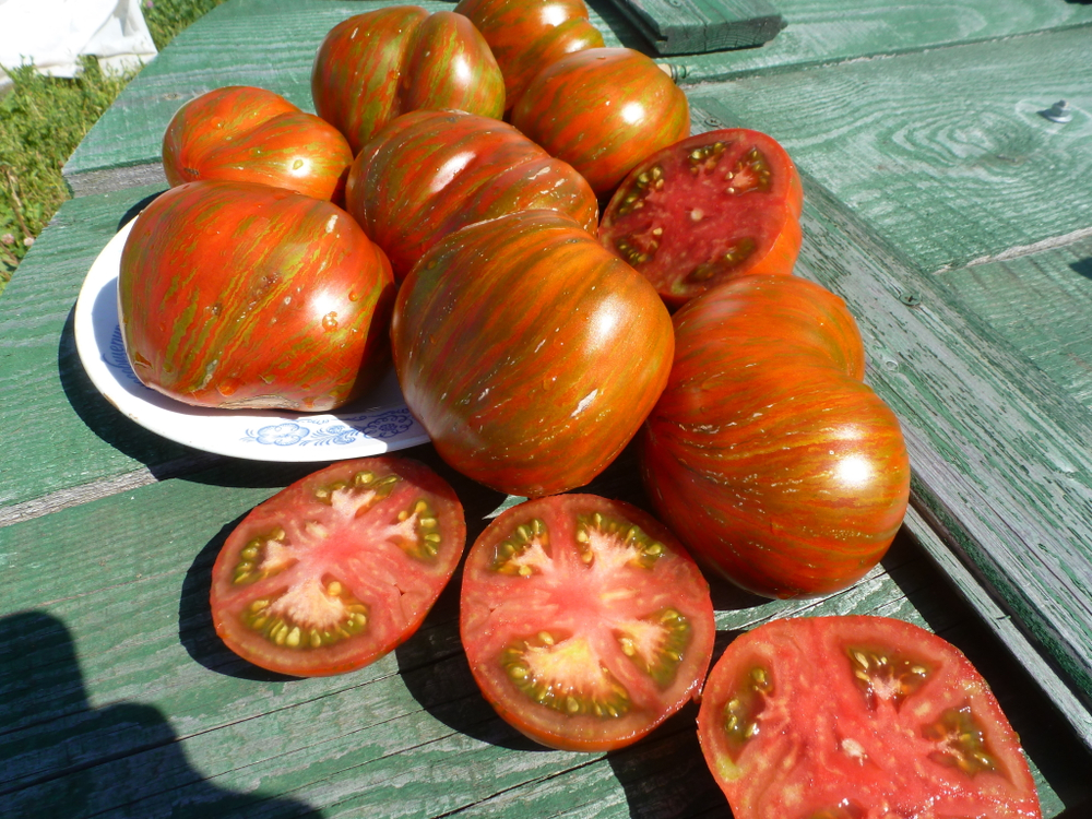 Помидоры - Berkeley Tiy Dye Heart - Сердце в стиле Тай Дай