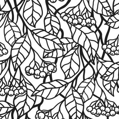 ЧЁРНЫЕ ЯГОДЫ НА БЕЛОМ ФОНЕ