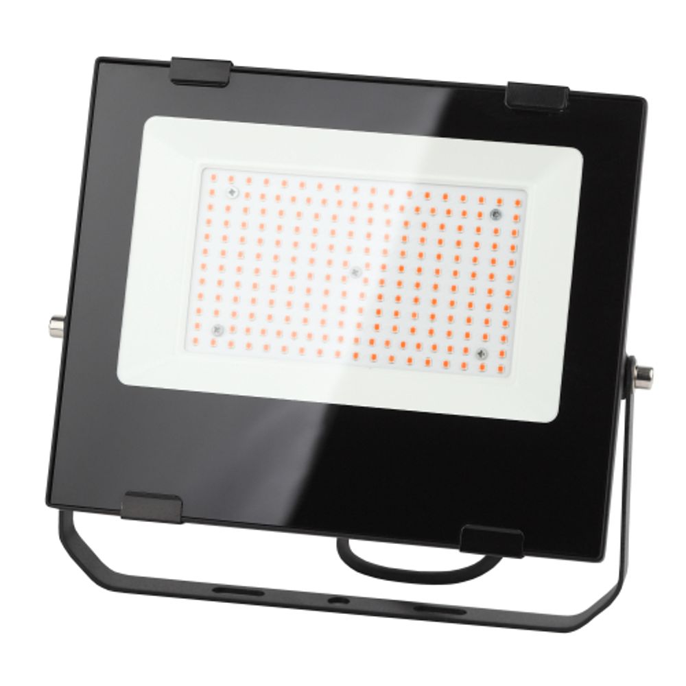 Фитопрожектор для растений светодиодный ЭРА FITO-100W-RB-LED для цветения и плодоношения красно-синего спектра 100 Вт | Фито прожекторы