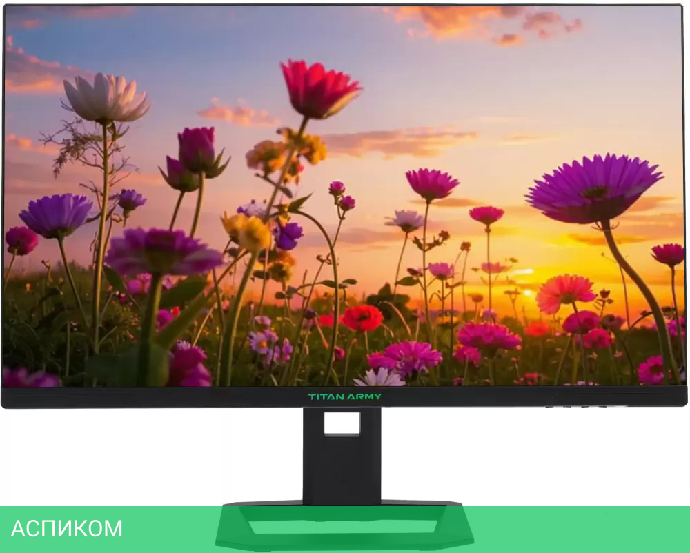 Игровой монитор Titan Army P275MV