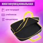 Папка на молнии с ручками BRAUBERG А4 1 отделение полиэстер 80 мм "Dark cat" (2 штуки в упаковке)