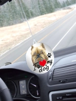 Подвеска в машину - Брюссельский гриффон