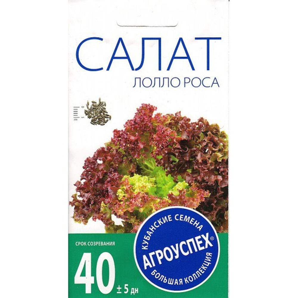 Салат Лолло Росса