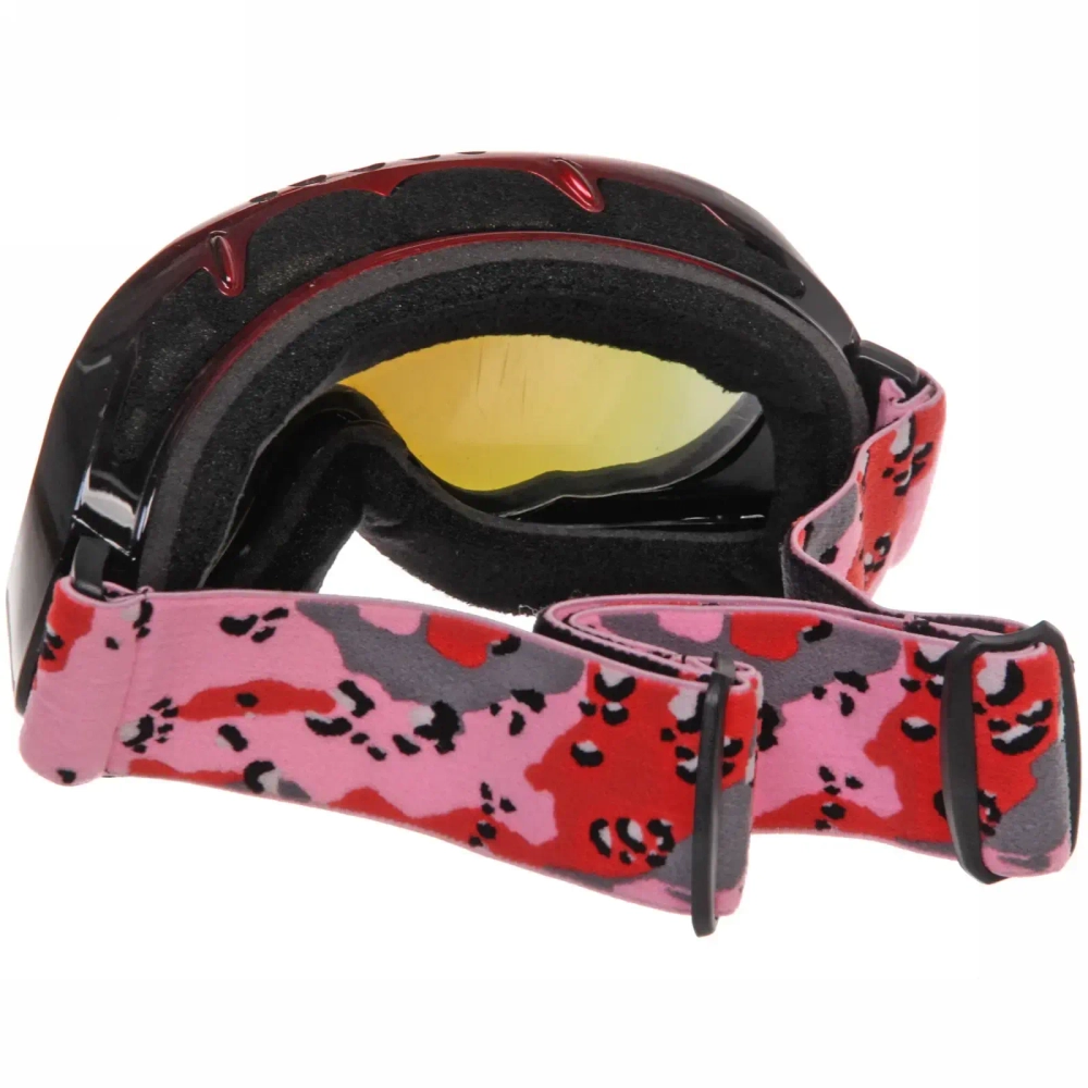 Очки горнолыжные H005