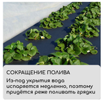 Материал мульчирующий, 5 × 1,6 м, плотность 80 г/м², спанбонд с УФ-стабилизатором, чёрный, Greengo,