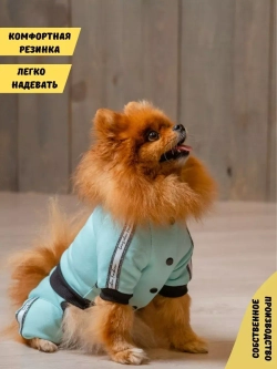 Спортивный комбинезон костюм для собак