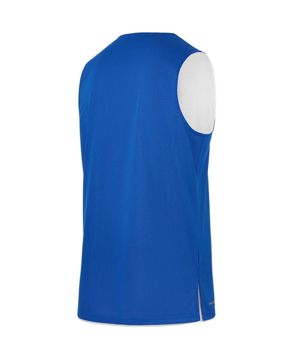 Майка двухсторонняя DIVISION PerFormDRY Double-Side RBF Jersey, синий/белый