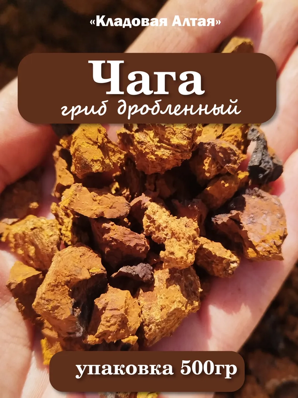 Чага кусковая