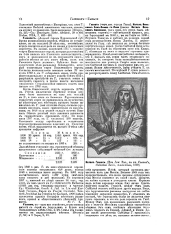 Еврейская Энциклопедия. Том 6. Гадассий - Данте | Л. Каценельсон