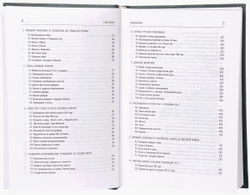 Россия 1801-1917: власть и общество