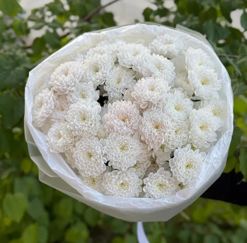 Букет цветов Облако М