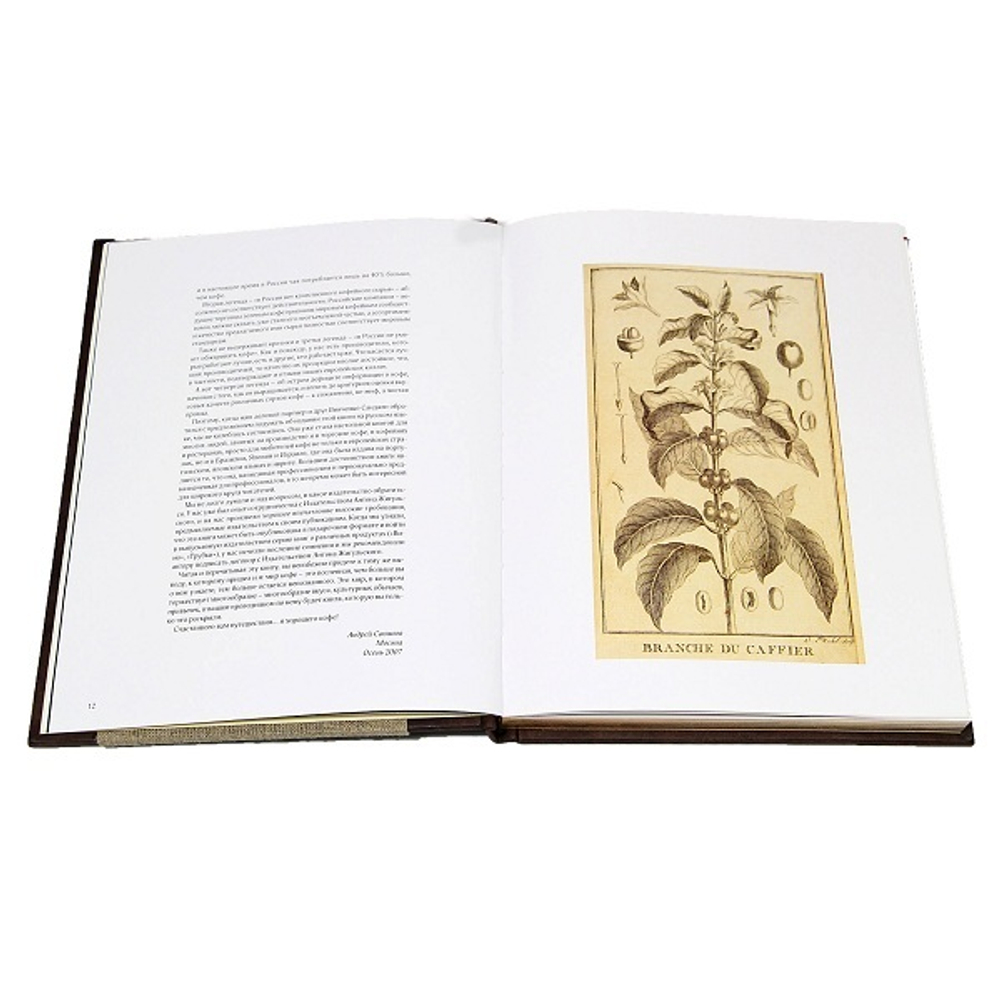 Кофе. Торжестов многообразия. Подарочное издание, 240 страниц