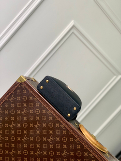 Louis Vuitton Capucines Mini