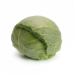 ЗАРИССИМА F1 семена капусты белокочанной (Rijk Zwaan | Alexagro)