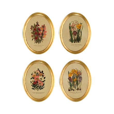 Картины "Растения"