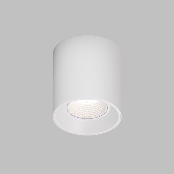 Накладной светильник Denkirs Rodvig DK3090-WH