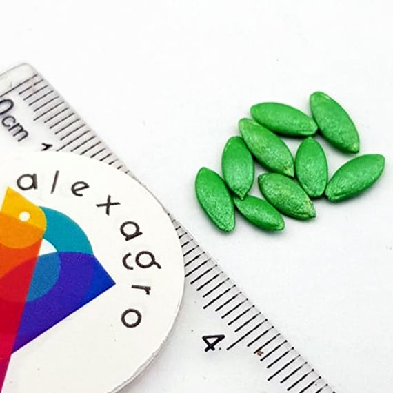 АРТИСТ F1 семена огурца партенокарпического (Bejo) купить