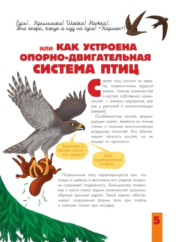 Птицы. Биология. Физиология