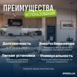 Набор из 10 светодиодных лампочек 6500K Е27 / Ergolux / LED, 18Вт, дневной холодный свет