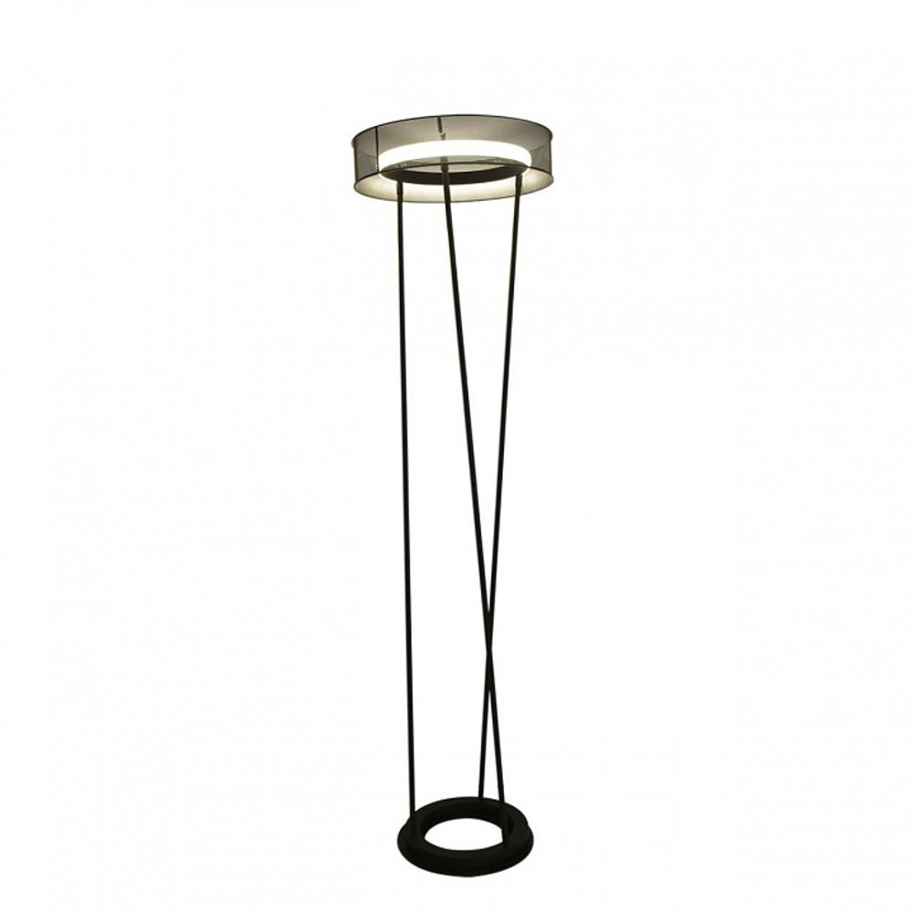 Торшер Lumion LEDIO 8370/30FL
