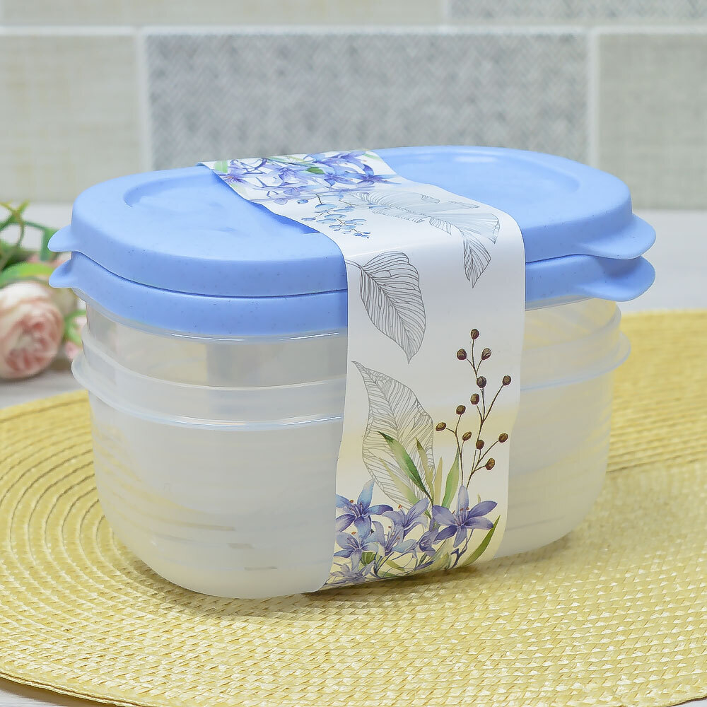 Набор контейнеров 2шт 0,65л "Цветущий сад"