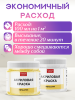 Комбо акриловых красок (золото+перламутр) 2х20 мл