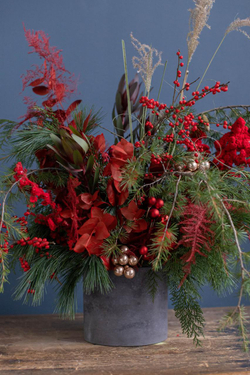 Композиция в бетонном кашпо красная