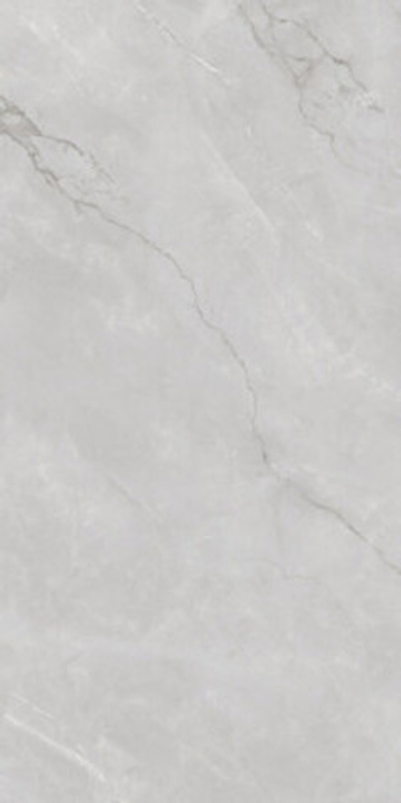 Керамогранит ASTONIA Silver Glossy Silver Line