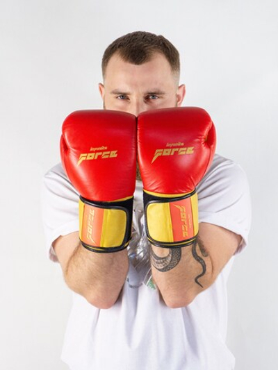 Боксерские перчатки Infinite Force Red Desert