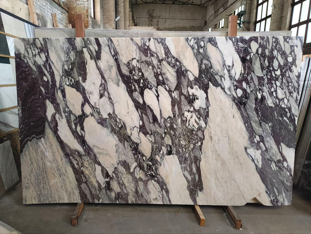 Каллаката Виола