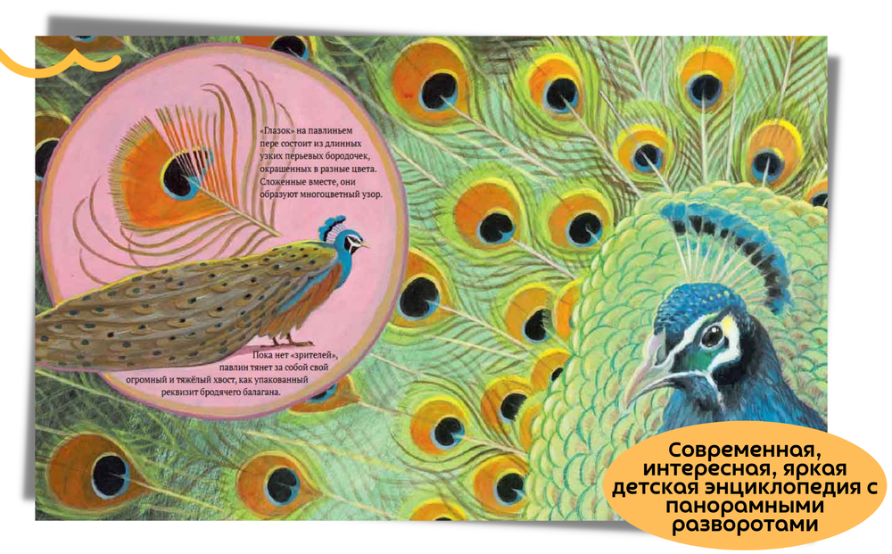 Посмотри на меня! Шоу диких животных