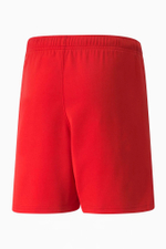 Шорты Puma teamRISE Junior