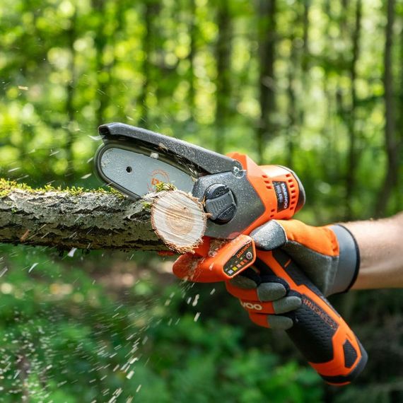 Аккумуляторная пила Daewoo DACS 416Li SET (c 2 АКБ и ЗУ, в сумке)