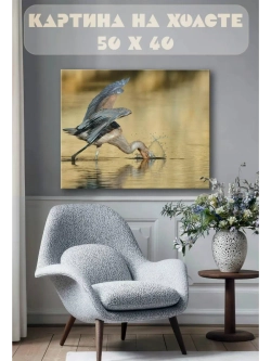 Картина на стену 40 X 50 Пеликан