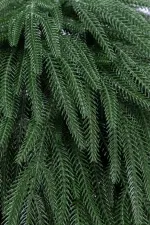 Искусственная ель «Араукария чилийская» (Литая хвоя) 210 см / 2,1 м