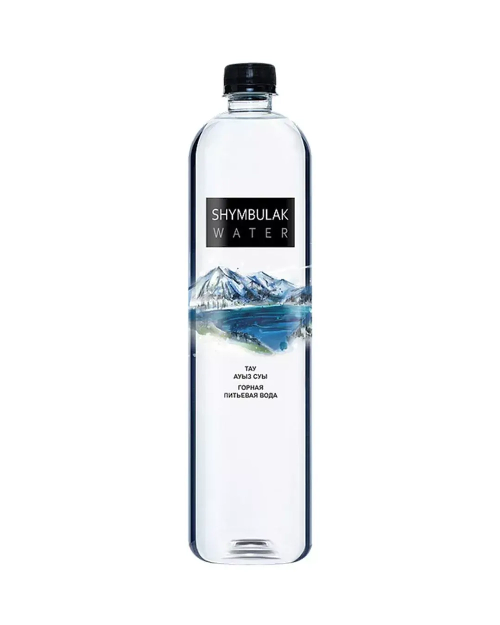 img/products/Shymbulak-Water-500ml.webp
