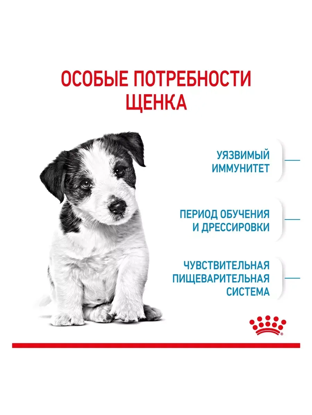 ROYAL CANIN Mini Puppy PRO (Роял Канин Мини паппи) корм сухой для собак 17 кг.