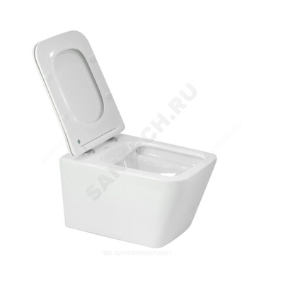 Унитаз подвесной горизонтальный выпуск с сиденьем дюропласт микролифт белый Quadra Rimless Selena Q001WG