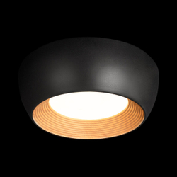 Светильник Потолочный Loft It Folk Black 10255/350