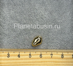 Бусины 0049