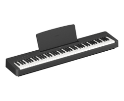 YAMAHA P-145B
