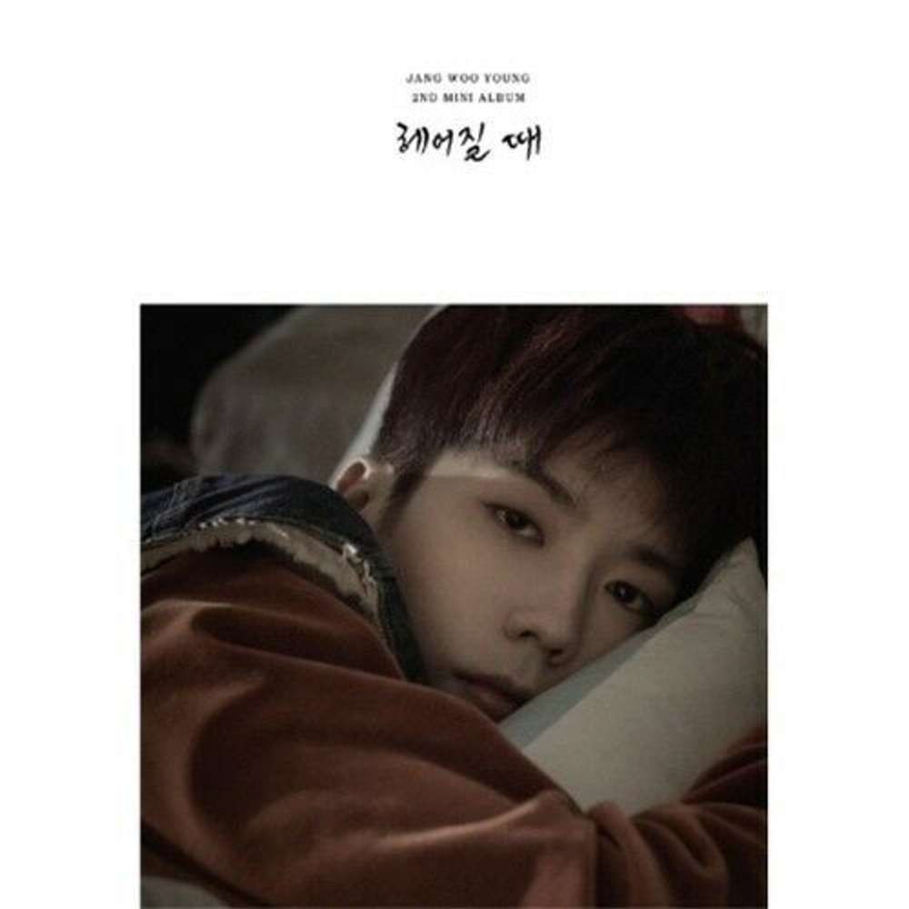 публикация JANG WOO YOUNG - Time To Say Goodbye 2nd Mini Album Making Book