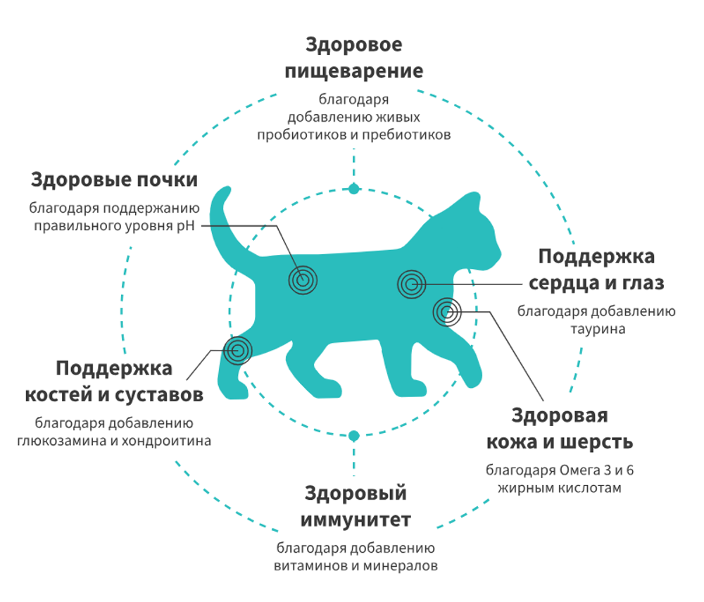 GRANDORF FRESH Свежее мясо ягненка с бататом для котят