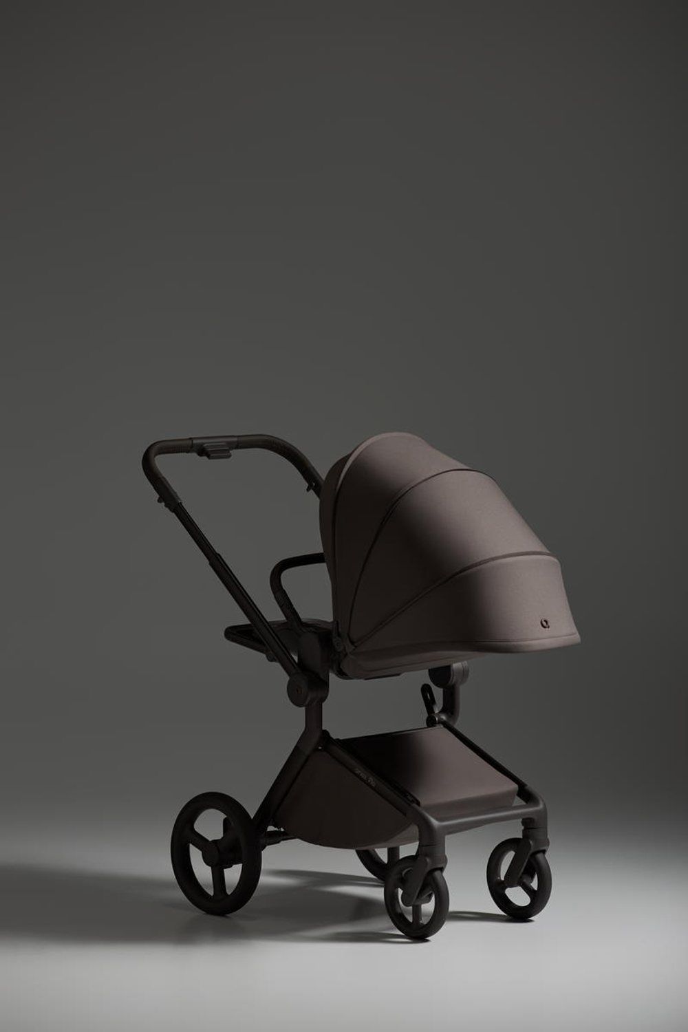 Детская коляска Anex Flo 2 в 1 Browny